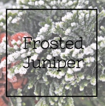 Frosted Juniper Car Diffuser